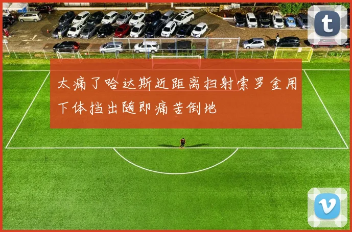 太痛了哈达斯近距离扫射索罗金用下体挡出随即痛苦倒地
