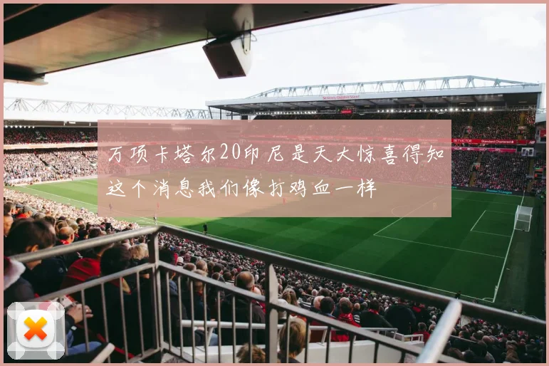 万项卡塔尔20印尼是天大惊喜得知这个消息我们像打鸡血一样